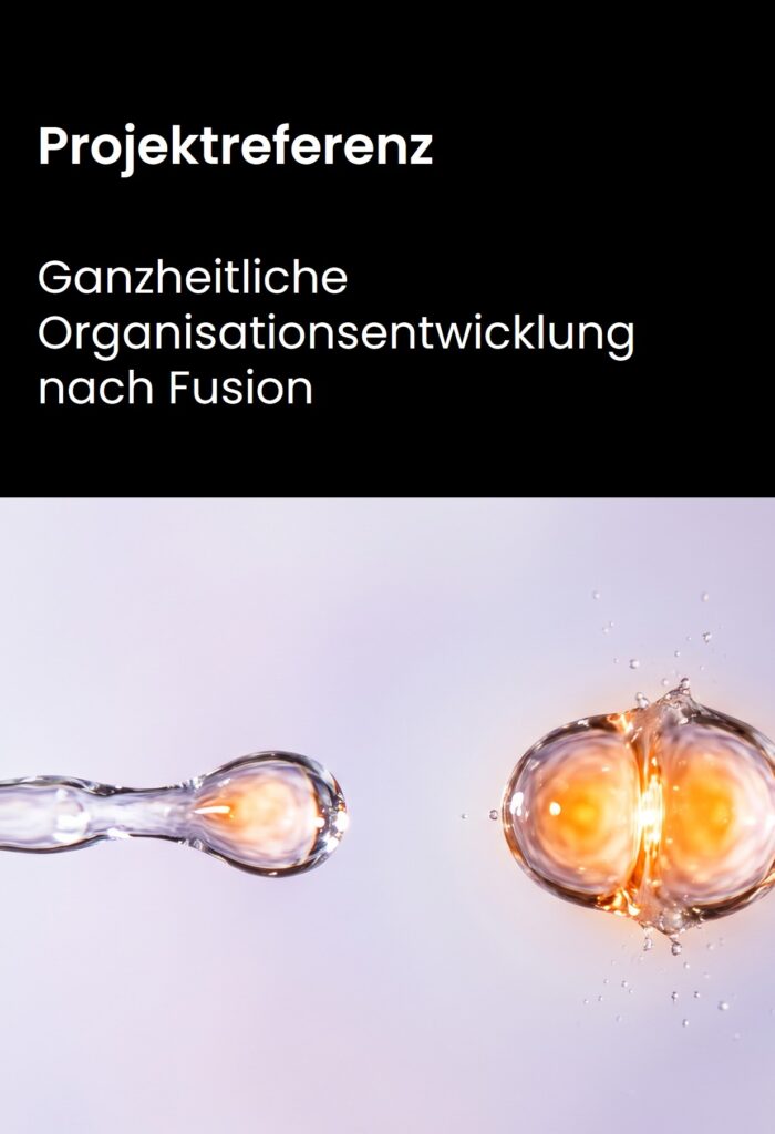 Fusion Change Management